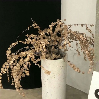 临泽FurryQQ群介绍